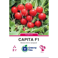 Саріта F1, редис, ранняя, 2 г, СПЕКТР